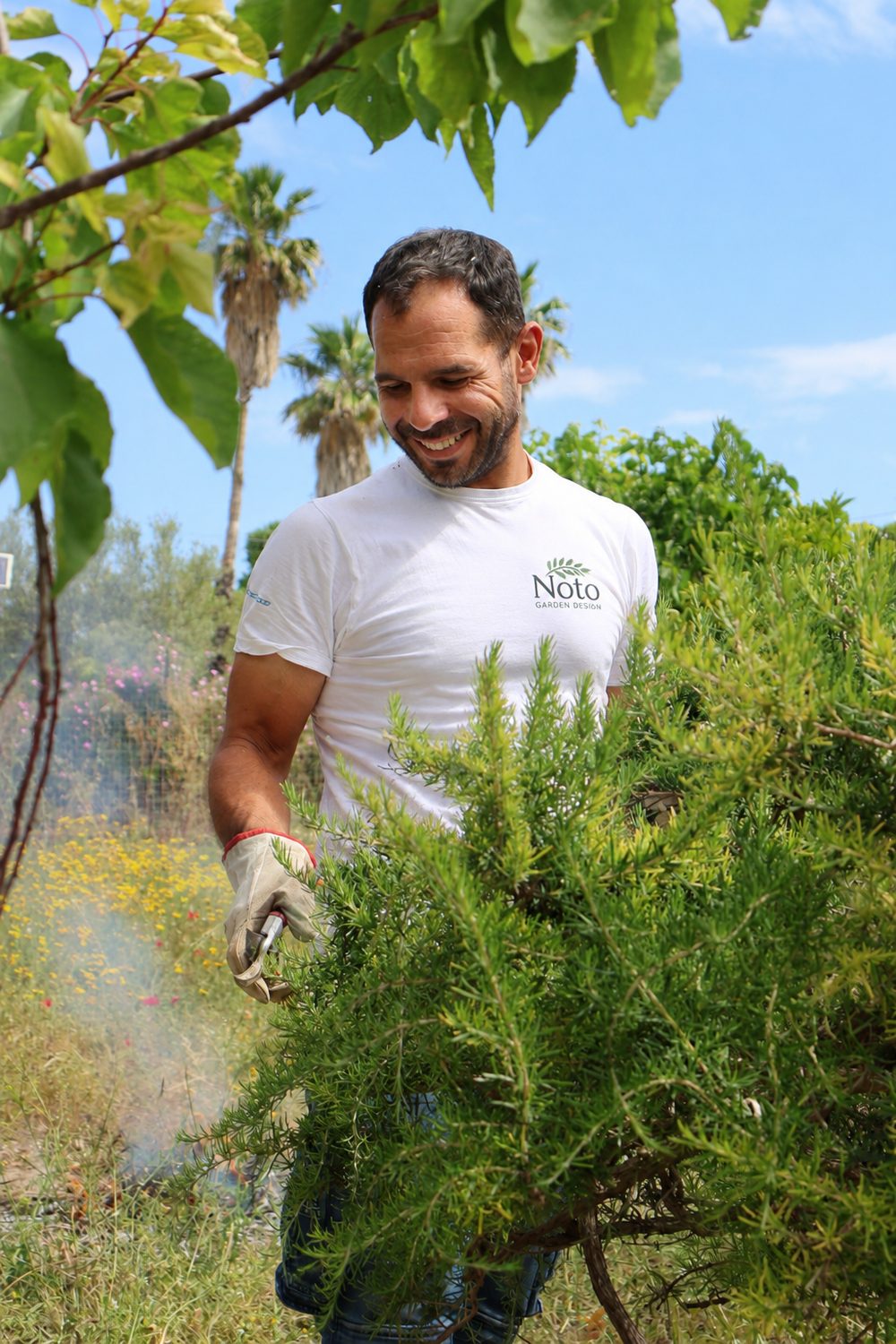 Simone, owner of Noto Garden Design, tending rosemary in a Sicilian garden.