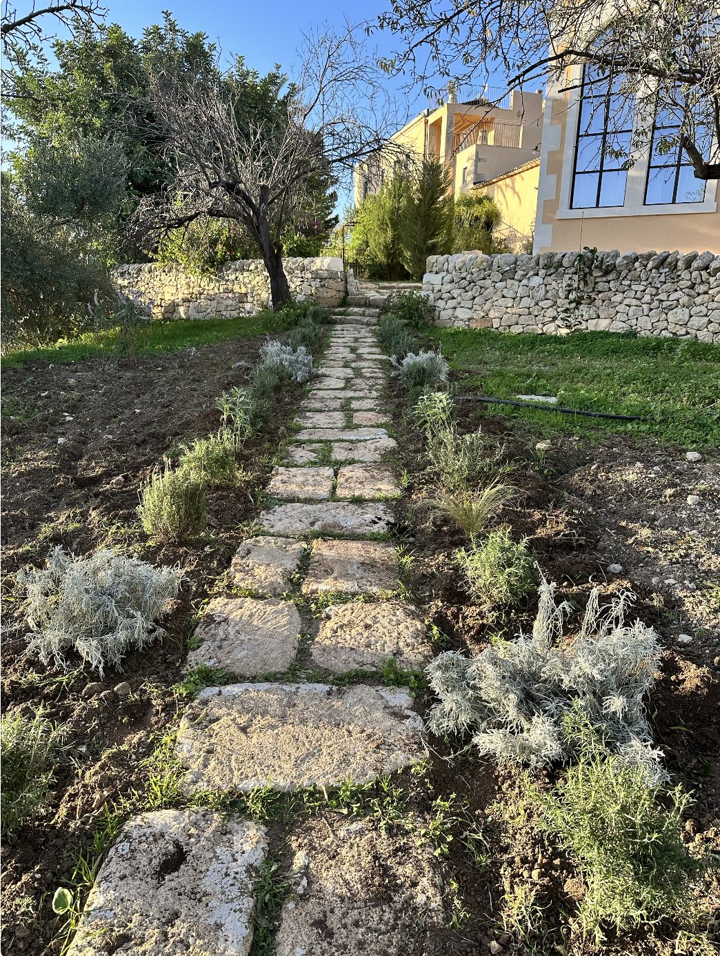 A realized local-stone path bordered by aromatic planting, leading up to a Sicilian villa.