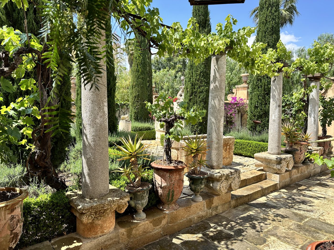 A Mediterranean garden with a stone-columned pergola, vines, terracotta urns, and cypress.